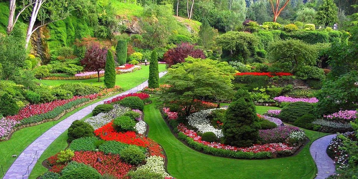 هرس درختان و‌ خدمات فضای سبز و سم پاشی