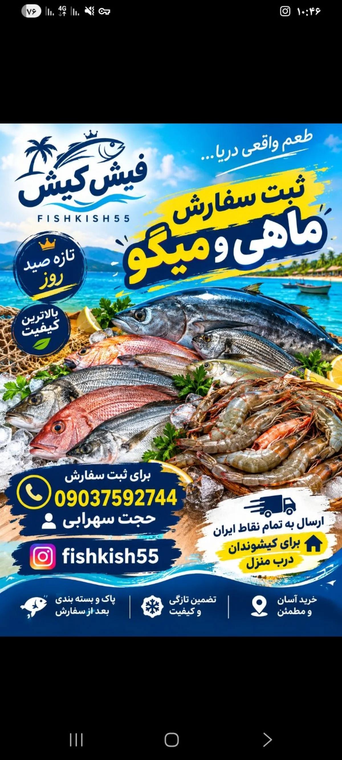 انواع ماهی و میگو تازه ارسال درب منزل
